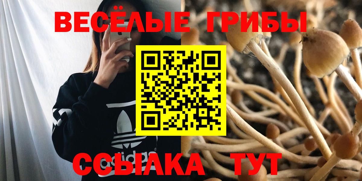 Галлюциногенные грибы MAGIC MUSHROOMS Артёмовский